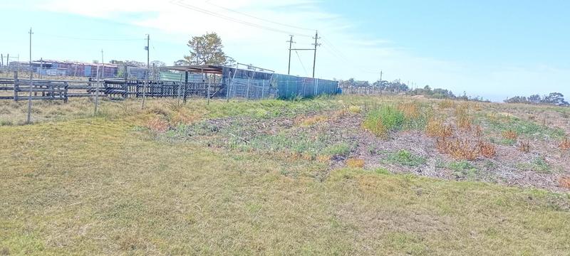 0 Bedroom Property for Sale in Groot Brakrivier Rural Western Cape